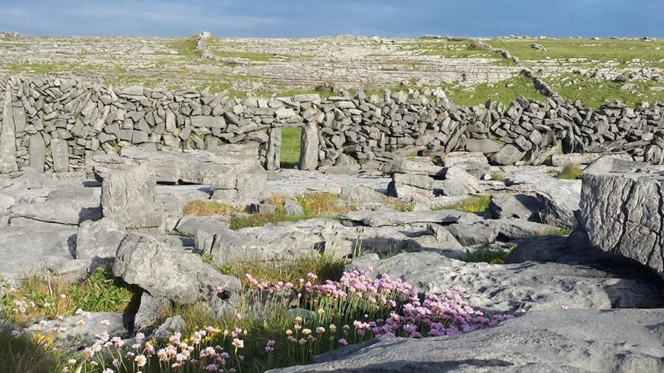 Lanelodge Дулин Екстериор снимка